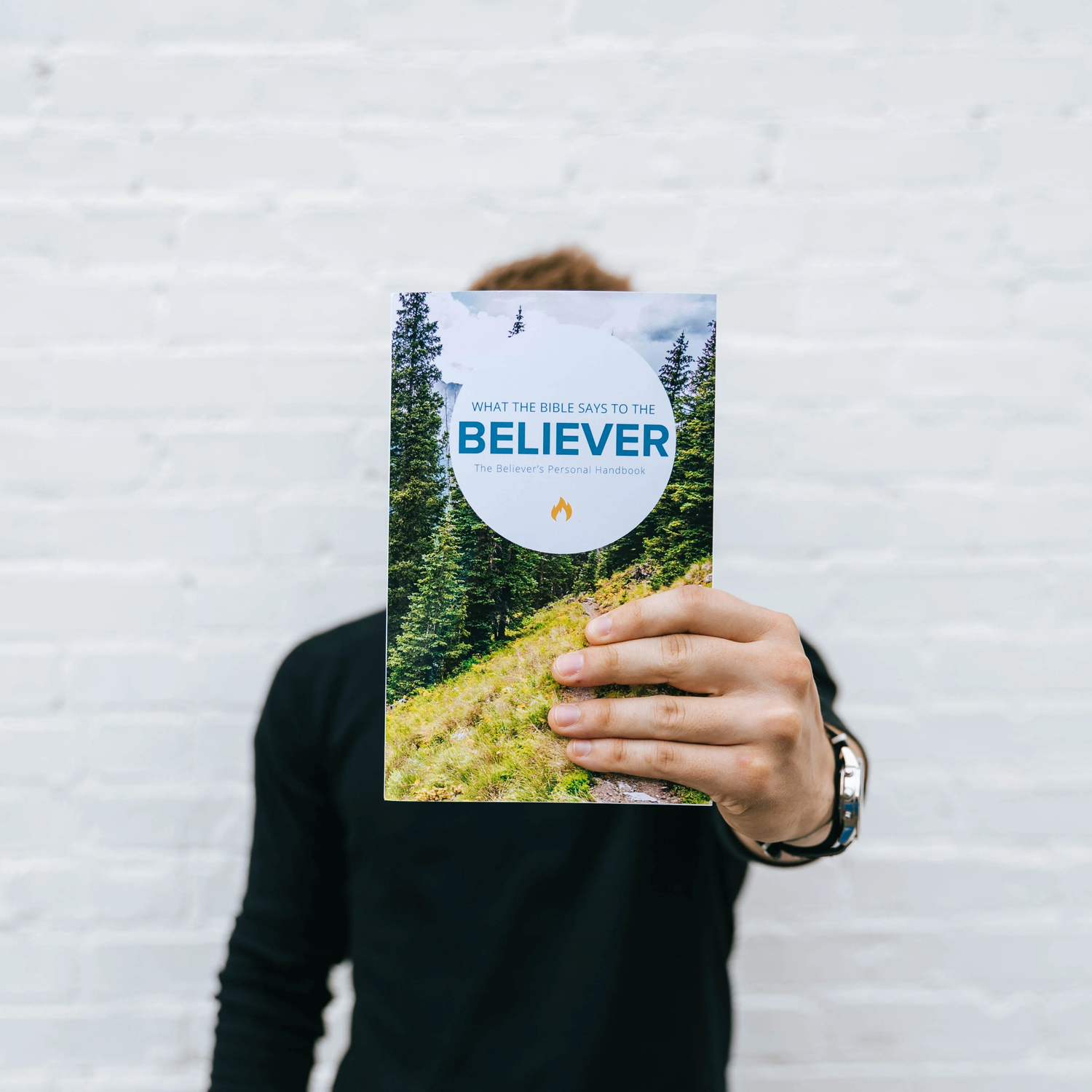 What the Bible Says to the Believer