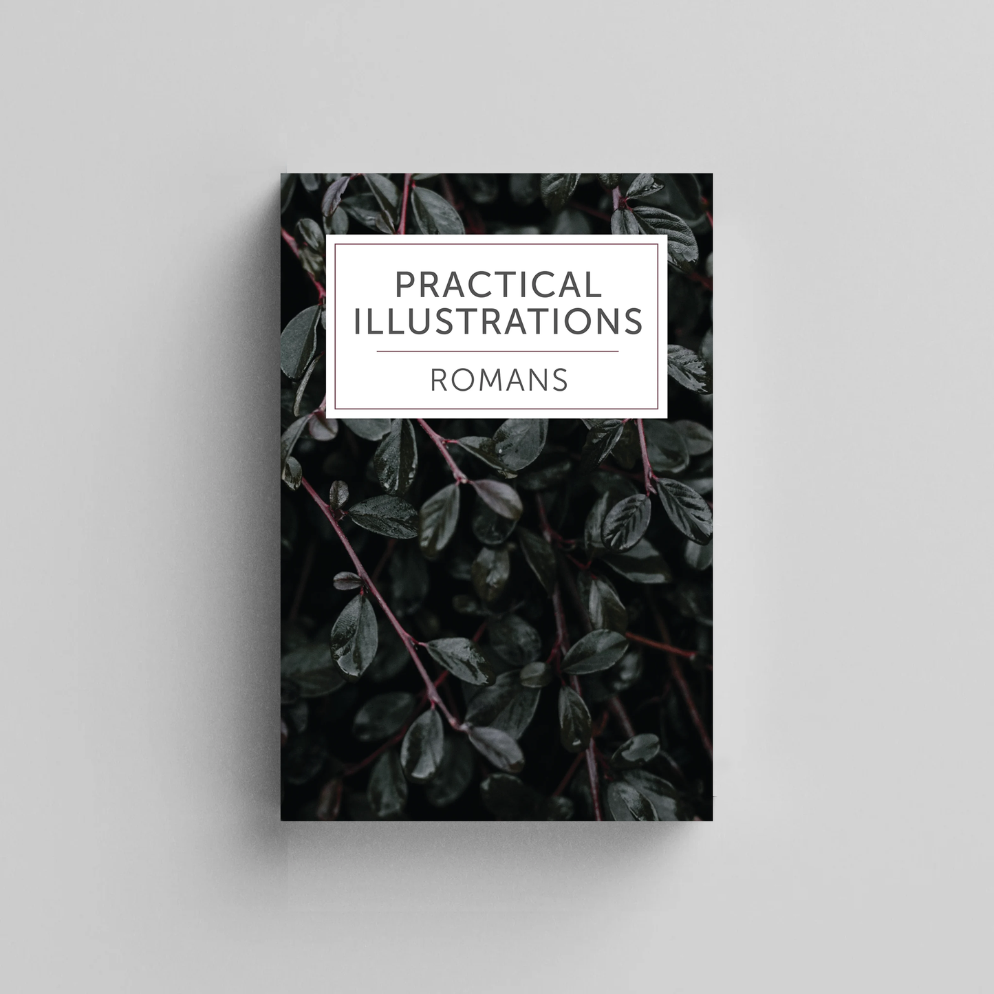 Practical Illustrations - 4 Volume Complete Series