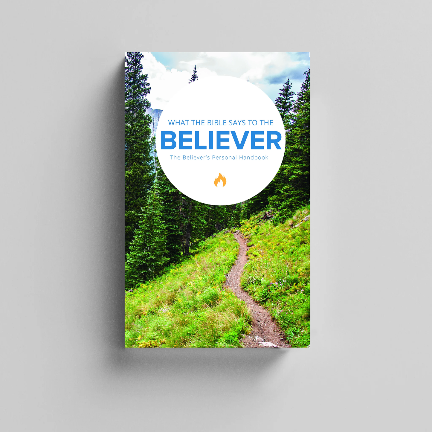 What the Bible Says to the Believer (Paperback)