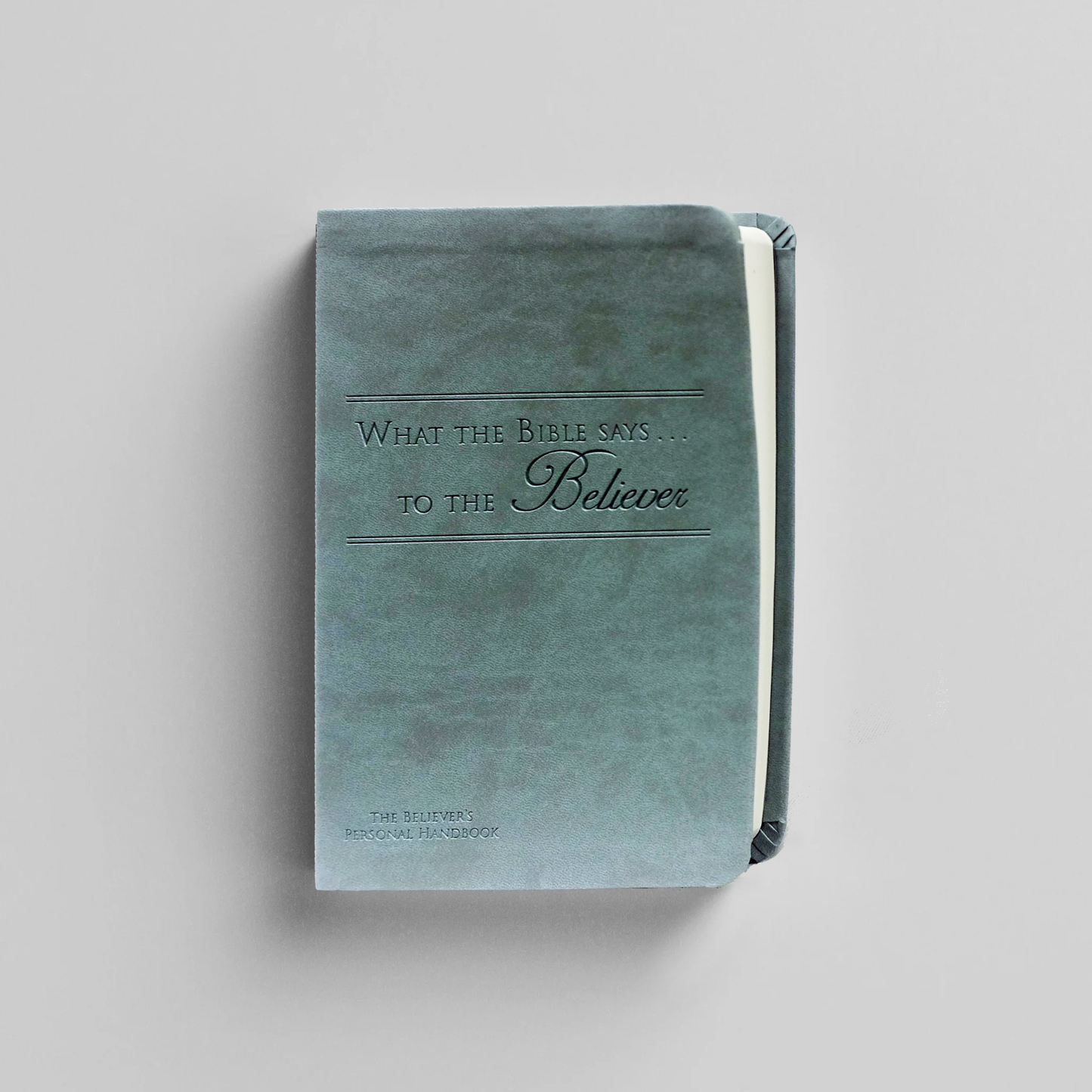 What the Bible Says to the Believer (Leatherette - Seagreen)